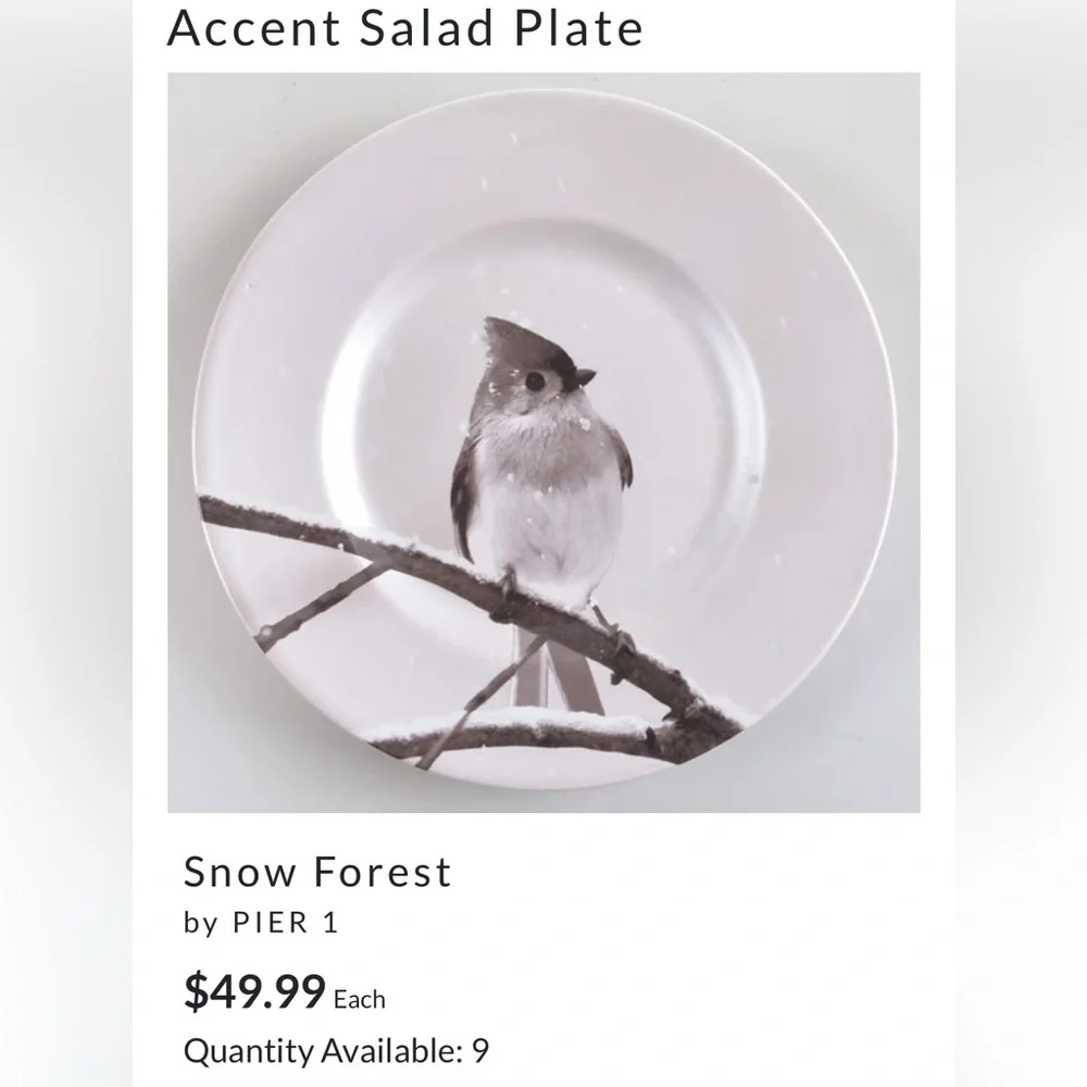 Pier 1 Winter Snowy Tufted Titmouse Bird on a Branch. Salad/ Accent Plate